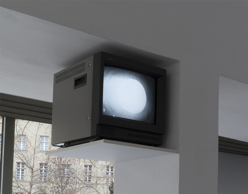 Undisciplined Oscillator