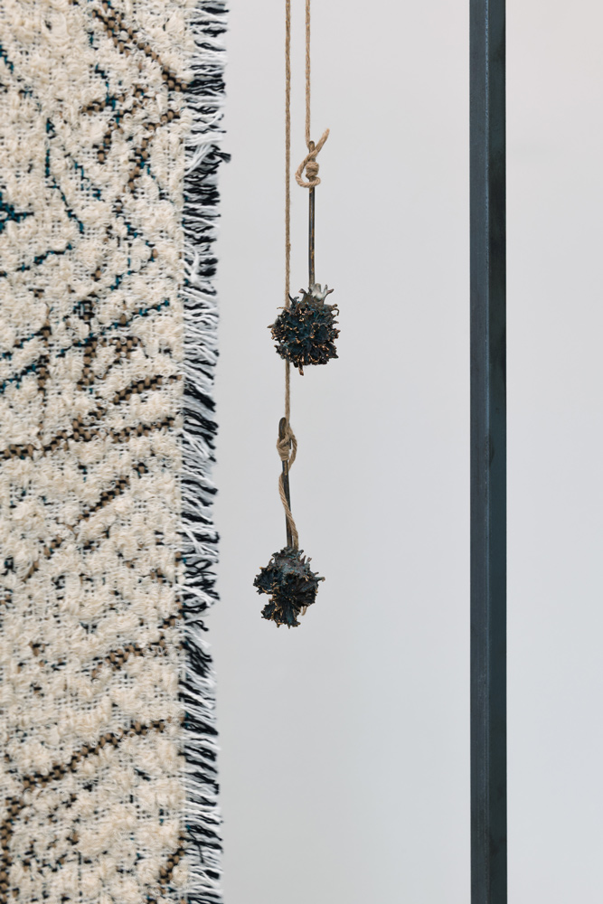 Ausstellungsansicht BEYOND THE GARDEN, Claudia Losi (Detail); Galerie Stadtpark Krems, 2026; Foto: Stefan Lux