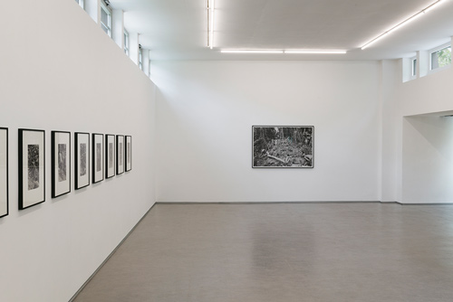 Ausstellungsansicht Across